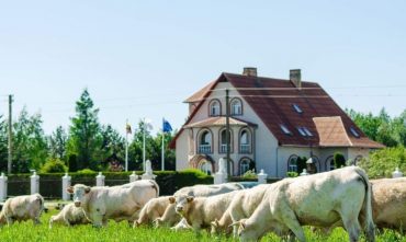 Vis labiau sveikata besirūpinantys lietuviai atranda ekologišką maistą
